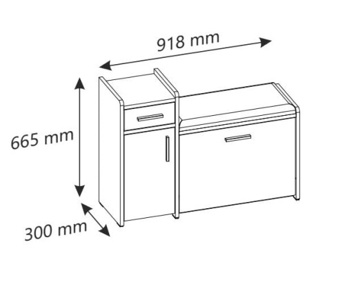 146.jpg
